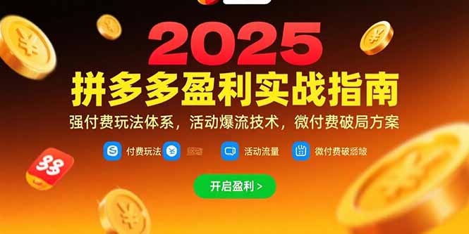 拼多多盈利实战指南,强付费玩法,活动爆流技术,微付费破局方案(更新7月