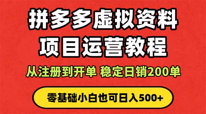 拼多多开店运营课程: 蓝海变现玩法,轻松实现睡后收入 零基础小白也可...