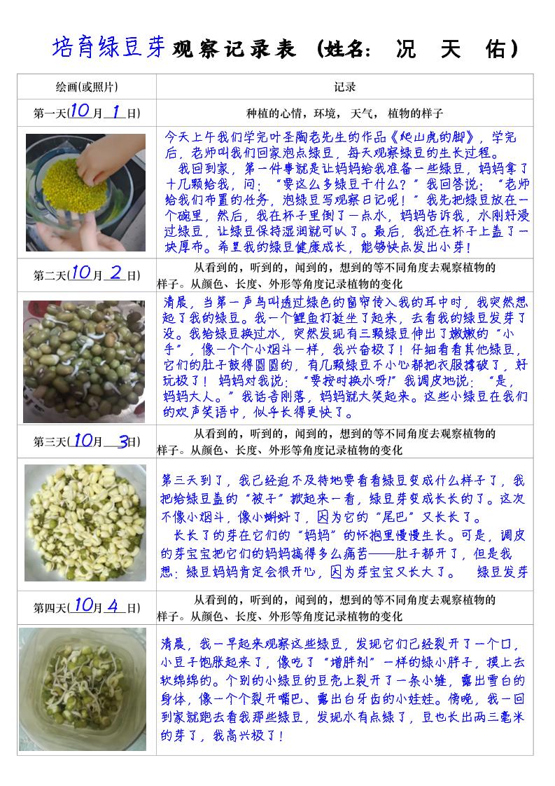 四上语文习作三：培育绿豆芽观察日记2《写观察日记》4页