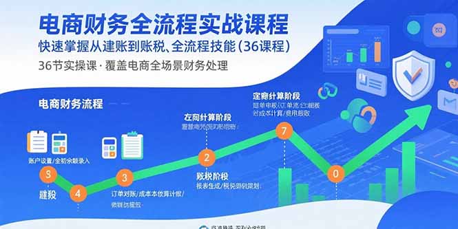 电商财务全流程实战课程:快速掌握从建账到报税的全流程技能(36节课