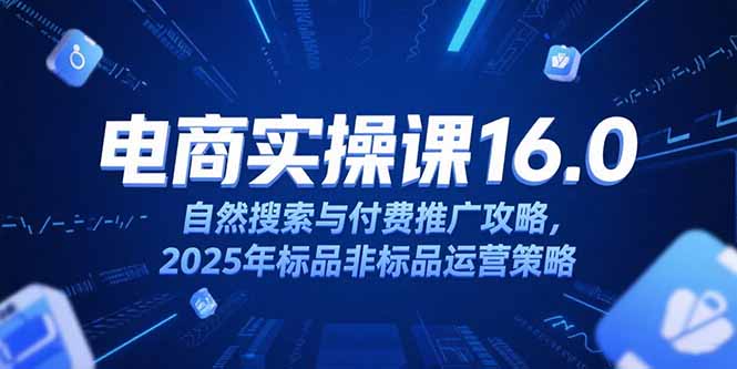 淘宝电商运营课16.0,自然搜索与付费推广攻略,2025年标品非标品运营策略