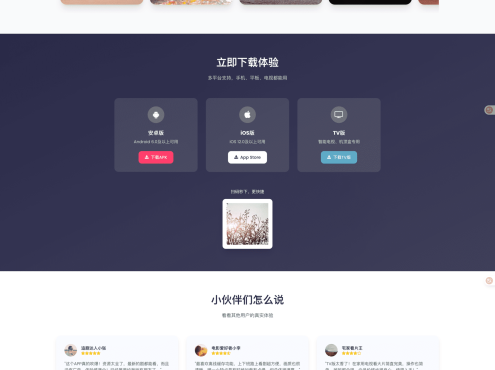 影视派影视APP下载页html源码