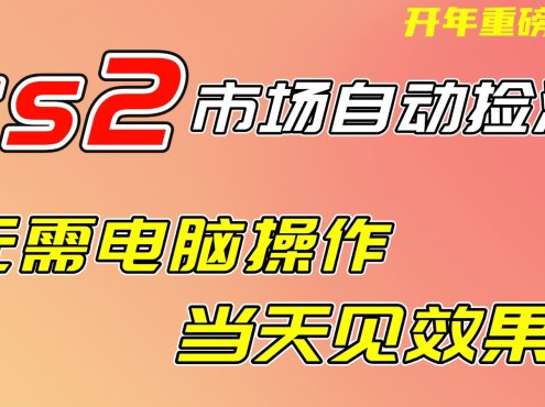 CS2市场挂机项，无需电脑操作，无需进入游戏，当天见效果，支持任何形式验证