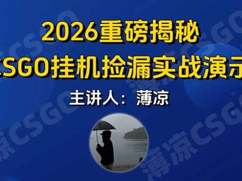 CSGO游戏挂机游戏搬砖最新升级，普通小白一部手机可日入300+当天见结果，支持验证