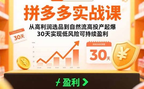 拼多多实战课：从高利润选品到自然流高投产起爆 30天实现低风险可持续盈利