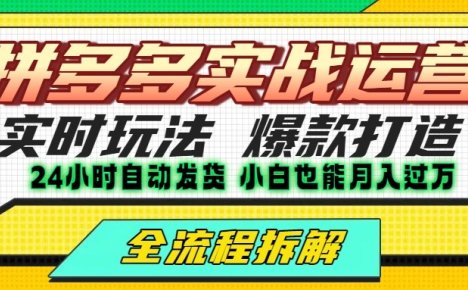 拼多多最新实战运营高投产：长久稳定项目，单店利润一天三位数