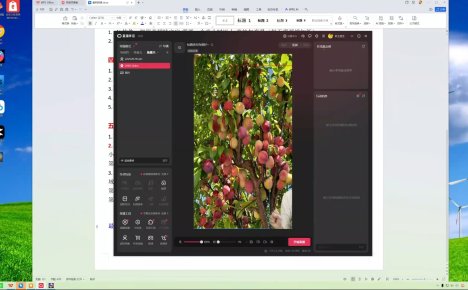 云顶联盟·无人直播实战(更新8月)