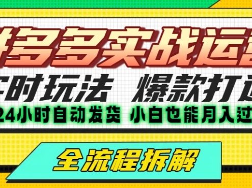 拼多多最新实战运营高投产：长久稳定项目，单店利润一天三位数