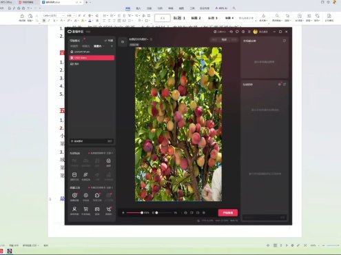 云顶联盟·无人直播实战(更新8月)